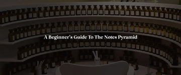 A Beginner’s Guide to the Fragrance Notes Pyramid: Top, Middle, and Base Notes - RareScents