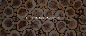 The-Ultimate-Guide-to-Sandalwood-Perfumes-A-Journey-Through-Exotic-Fragrances RareScents