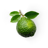 Bergamot