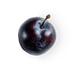 Black Plum