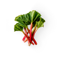 Rhubarb