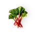 Rhubarb